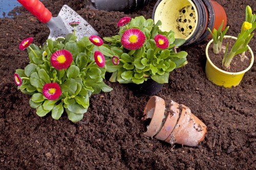 Gardeners Bloomsbury quoting a compact courtyard clearance using transparent load-based pricing