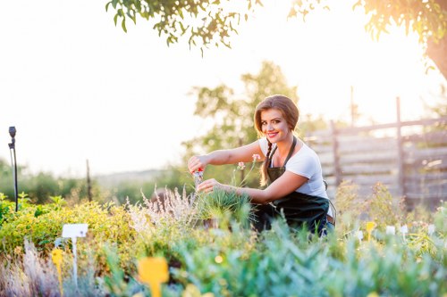 Professional gardening services maintaining a Bloomsbury garden