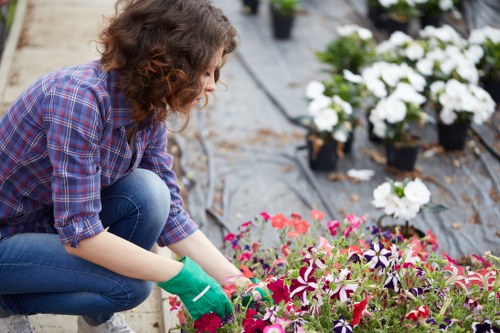 Healthy lawn care in Bloomsbury with neat grass and garden upkeep