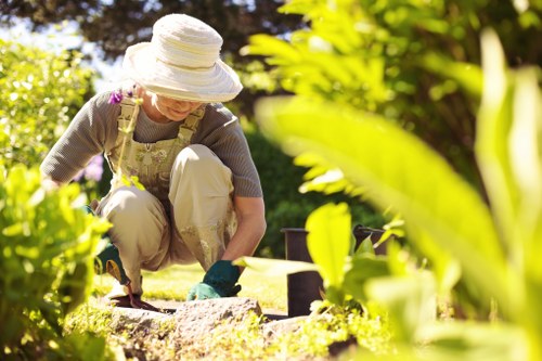 Aeration and soil care for a healthier Bloomsbury lawn
