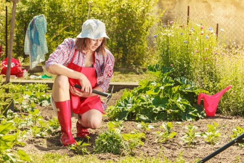 Professional lawn mowing in a compact Bloomsbury outdoor space