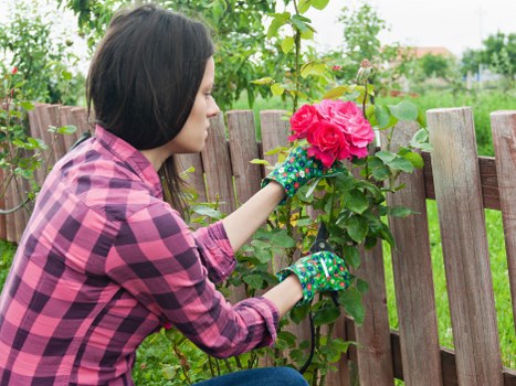 A Bloomsbury garden waste estimate showing cubic-yard rates for a shared townhouse garden