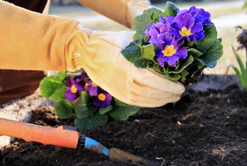 Seasonal lawn care in Bloomsbury for greener turf and weed control