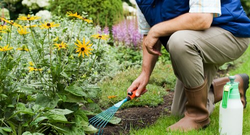Sustainable Bloomsbury garden with shrubs and hard landscaping