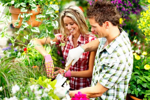 Third image placeholder for a fair review of gardening issues