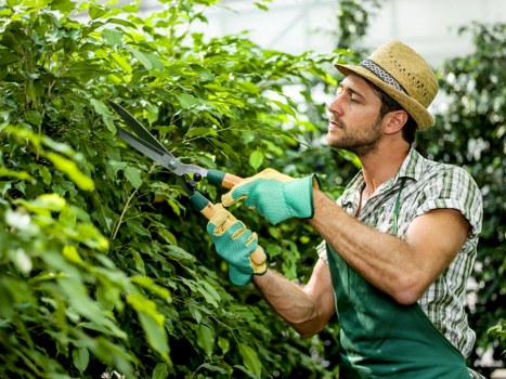 Professional garden care in Bloomsbury with seasonal planting