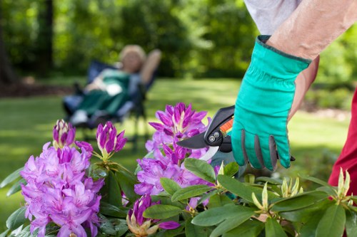 Garden maintenance and hedge cutting in Bloomsbury