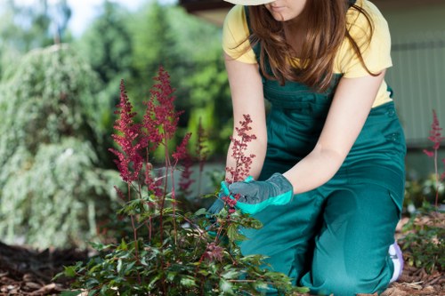 Professional gardeners Bloomsbury following equipment safety procedures