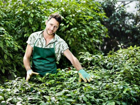Second image placeholder representing recorded garden service concerns
