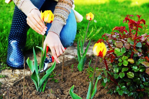 Professional garden clearance in a Bloomsbury courtyard