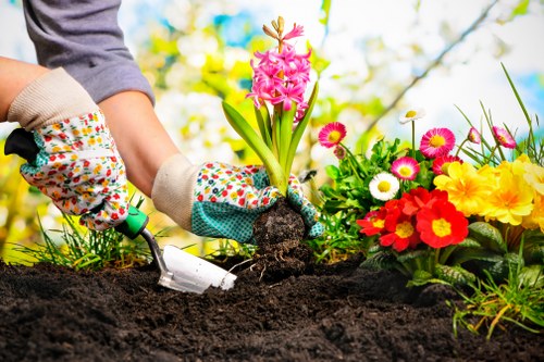 Free quote process for Gardeners Bloomsbury near a residential mews property