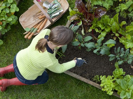 Final safety check and tidy finish after garden work is completed