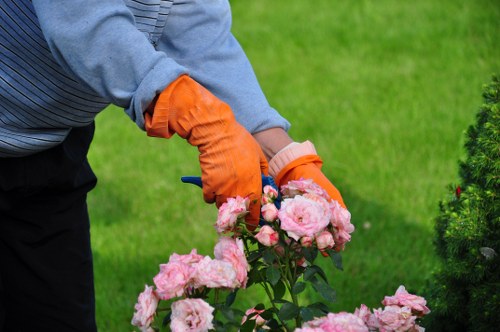Bloomsbury gardeners maintaining neat borders and healthy plants