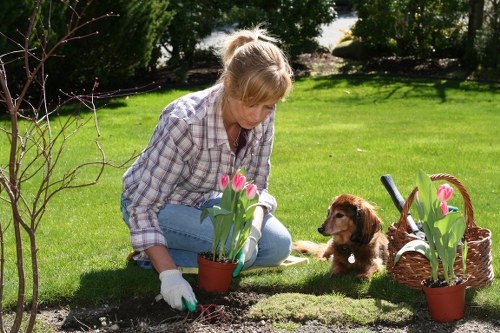 Responsible green waste removal from a Bloomsbury garden