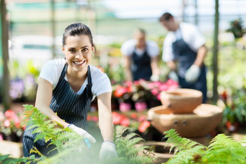Professional garden maintenance in a Bloomsbury outdoor space