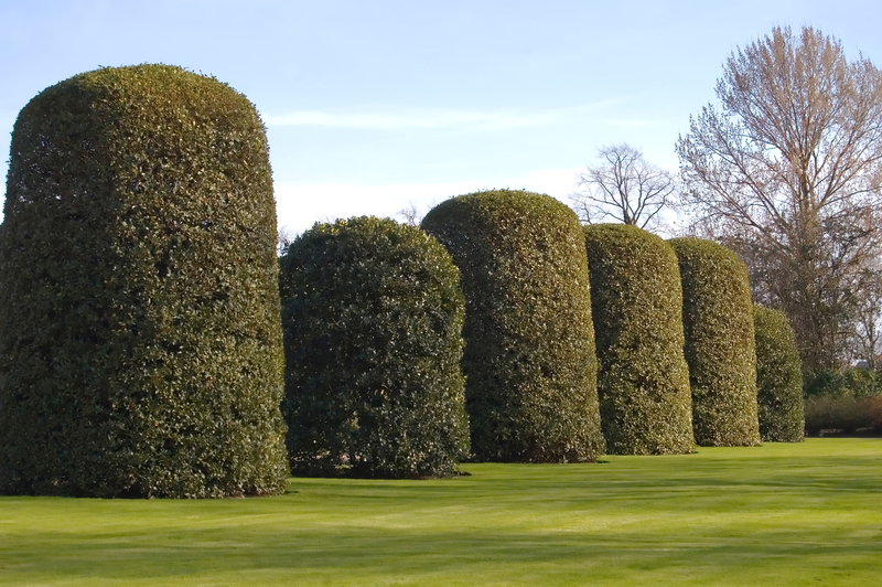 Garden yard
